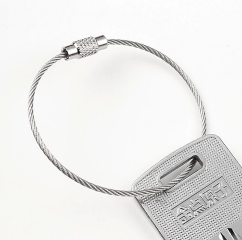 Outdoor Sports Carabiner Wire KEY CHAIN Cable Stainless Steel RING Screw Locking