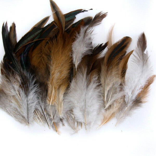 50pcs Natural Rooster Cock Feathers Fascir Costume DIY Sewing Craft 2-6