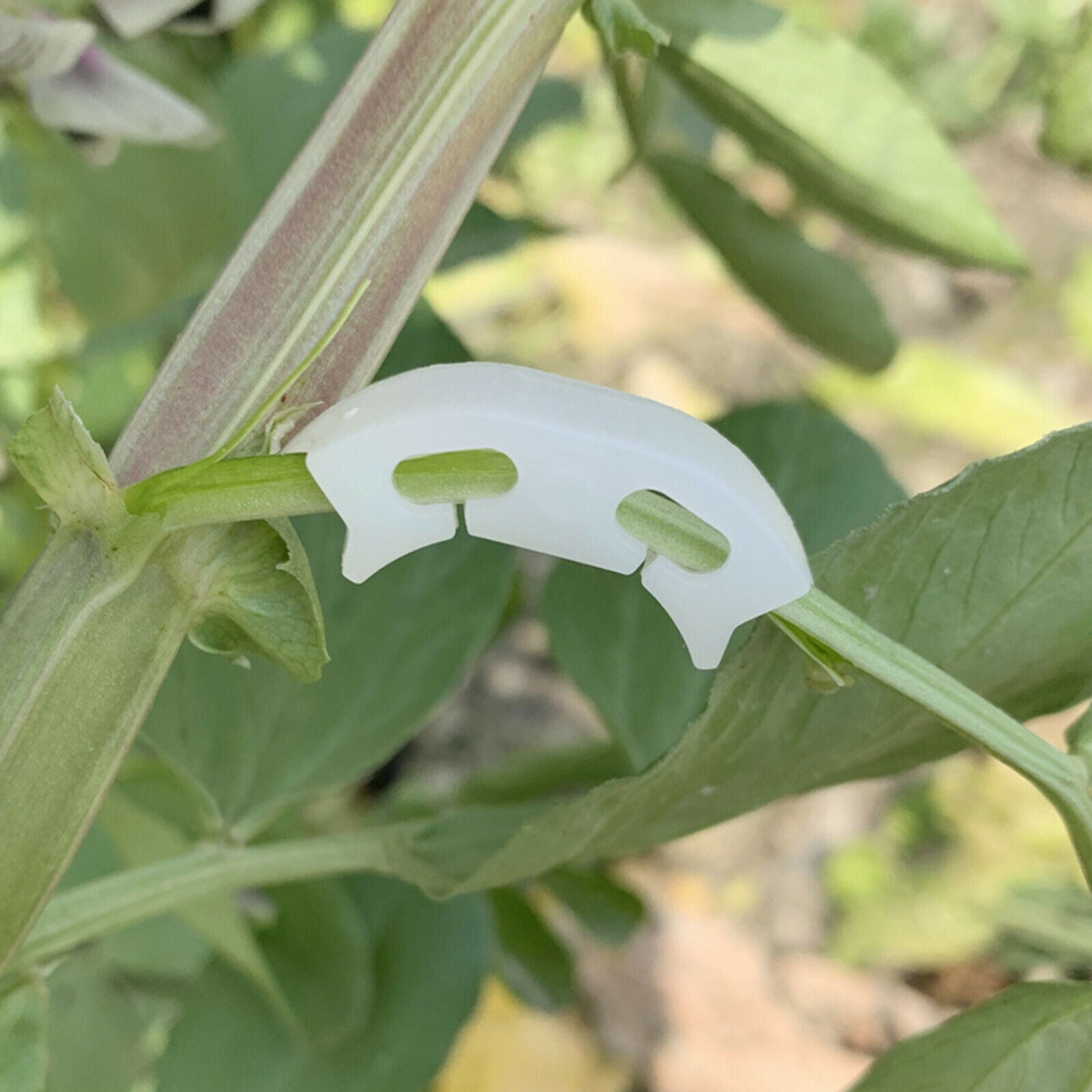 100Pcs Tomato  Veggie Garden Plant Support Clips for Trellis Twine Greenhouse*