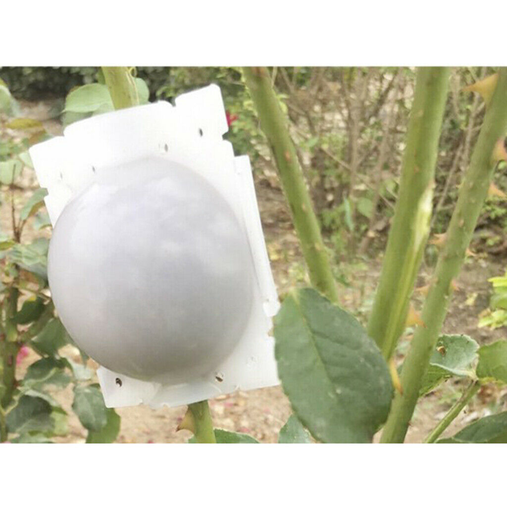 6pcs Reusable Plant Rooting Box Case Plant Rooting Device Propagation Ball