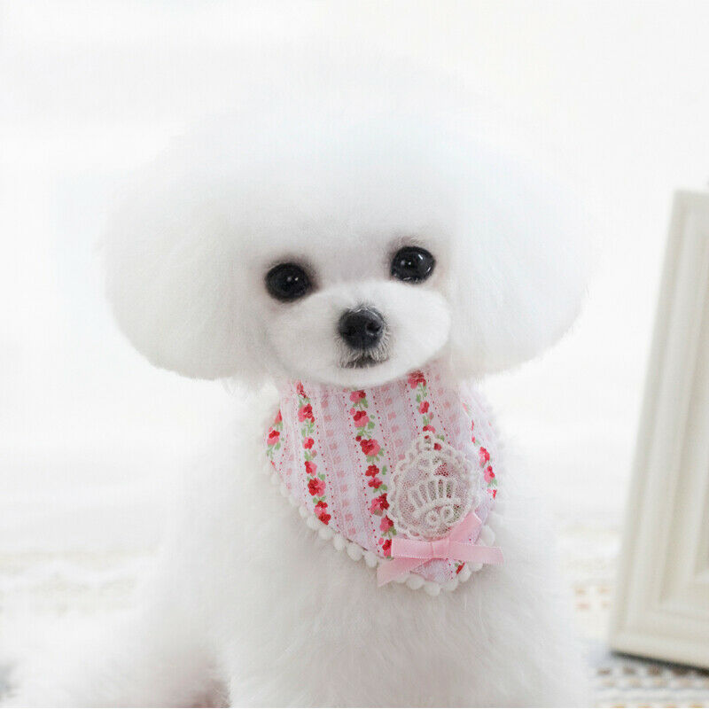 Pink Floral Pattern Dog Collar Lace Bowtie Stretchable Puppy Saliva Towel-S