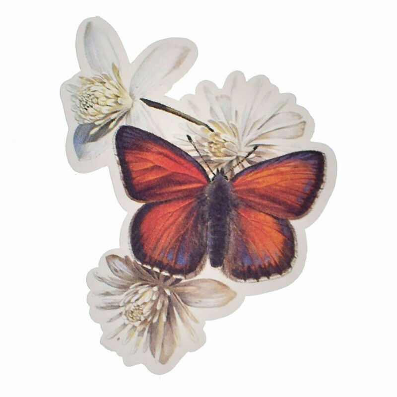 31Pcs Mixed Butterfly Paper Stickers DIY Scrapbooking Planner Diary Craft Decor