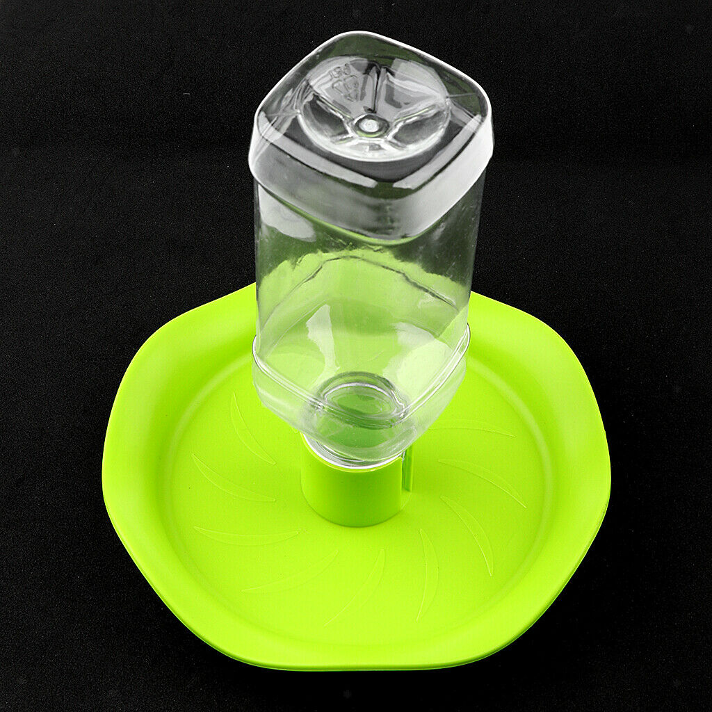 Automatic Water Bowl Container For Reptile Tortoise Spiders Lizard Green