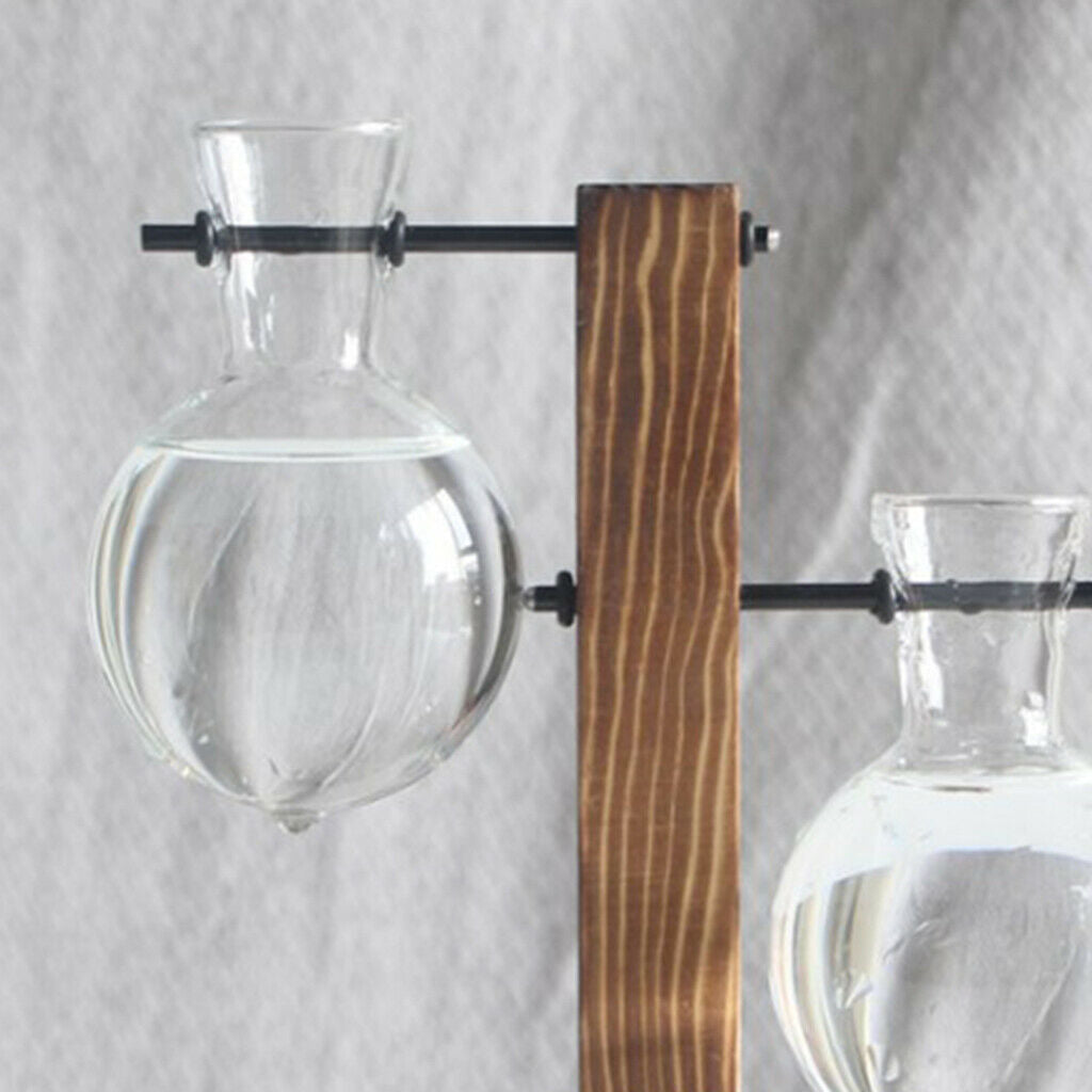2x Clear Glass Test Tube Vase Terrariumin Container Floral Arrangement