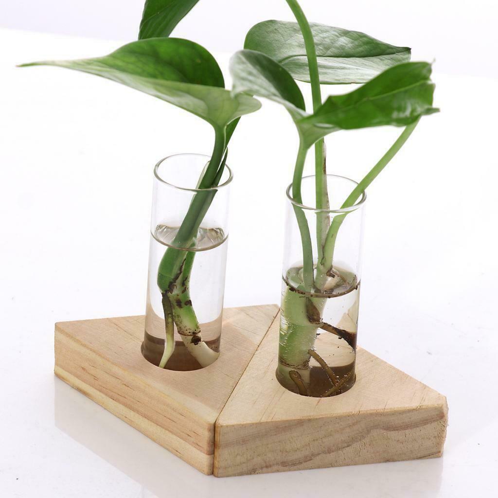 4 Pieces Glass Double Test Tube Vase Flower Pots for Hydroponic Plant