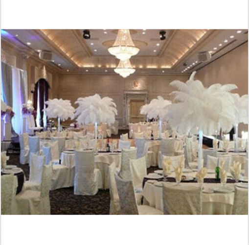 100pcs Natural white Ostrich feather 6-8in/15-20cm Diy carnival costume headress