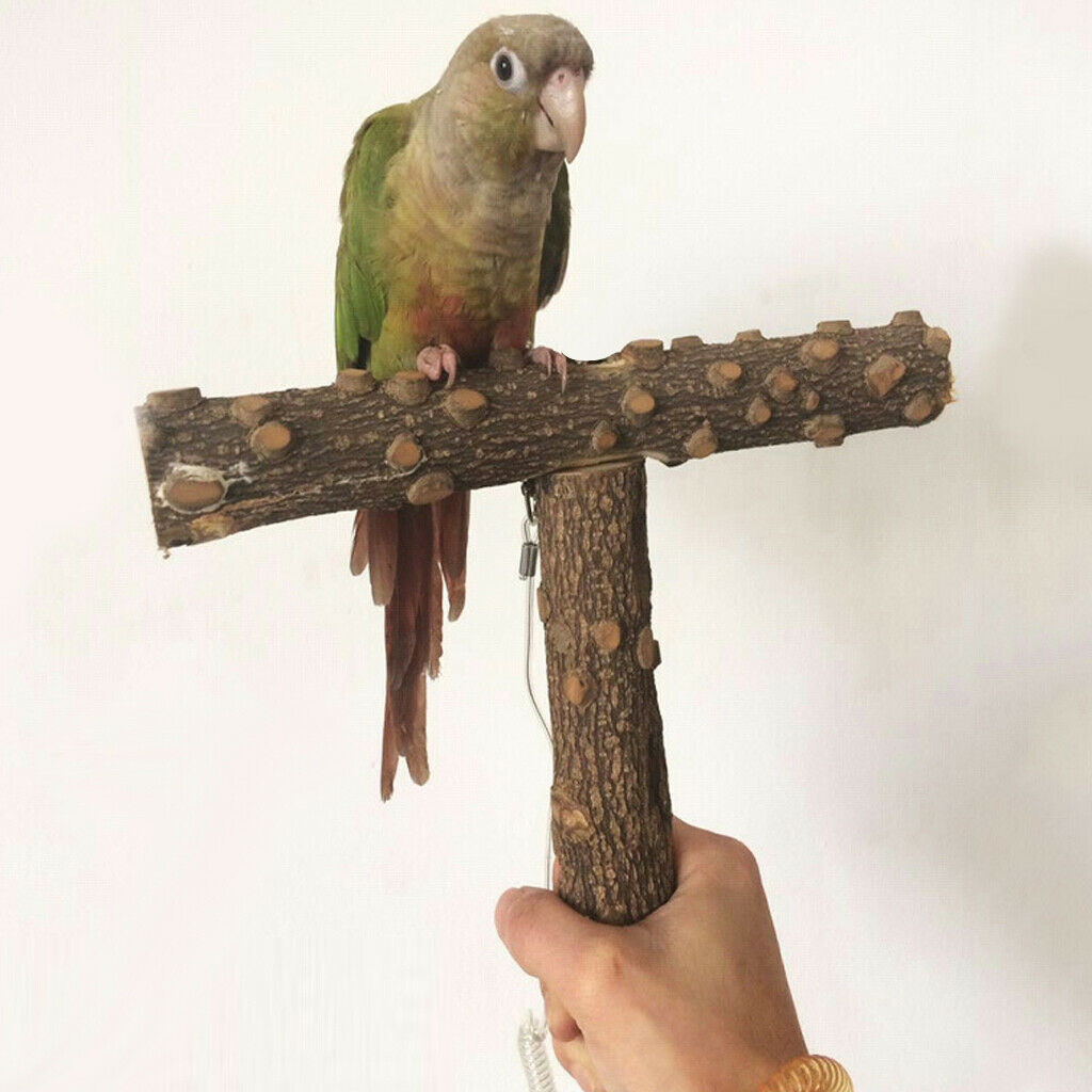 T-shape Wood Pet Parrot Perch Stand with Buckle, Outside/Cage Attachment
