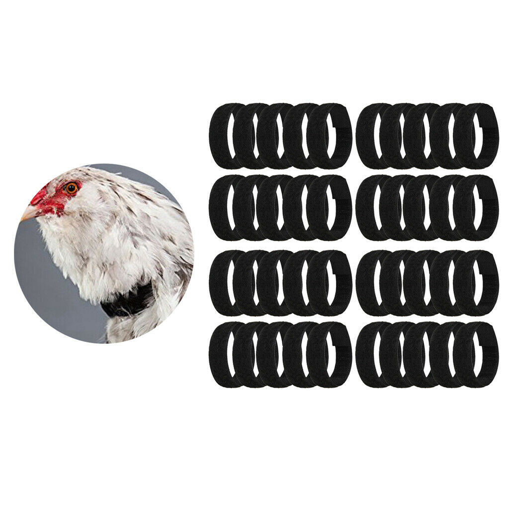 40pcs Chicken Collar Prevent Rooster from Disturbing Neighbors For Duck