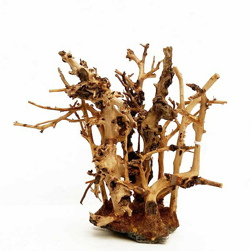 Small Forest Skeleton Wooden Branchâ€‹ Fish Tank Aquarium Landscape Ornament Decor