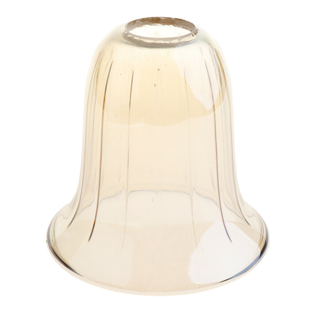 E14 Replacement Ceiling Chandelier Frosted and Clear Glass Lamp Shade Type 5