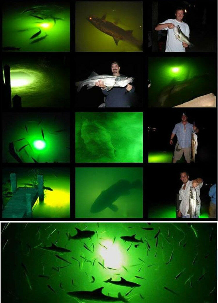 12V LED GREEN UNDERWATER SUBMERSIBLE NIGHT FISHING LIGHT crappie shad squid boat