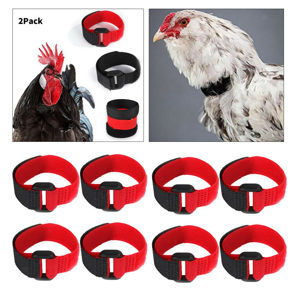 8x Rooster Collar Prevent Rooster from Disturbing Neighbors for Rooster Red