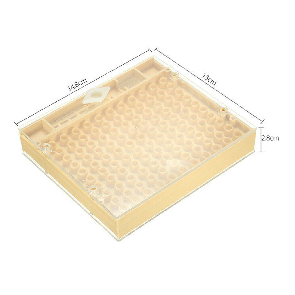 Queen Rearing Cupkit Box Cupularve System Beekeeping Tool Yellow