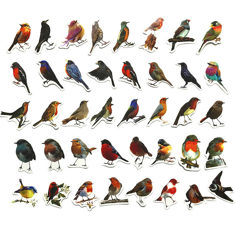40Pcs/set Robin Birds Decorative Stickers Adhesive Stickers DIY Diary Sta.l8