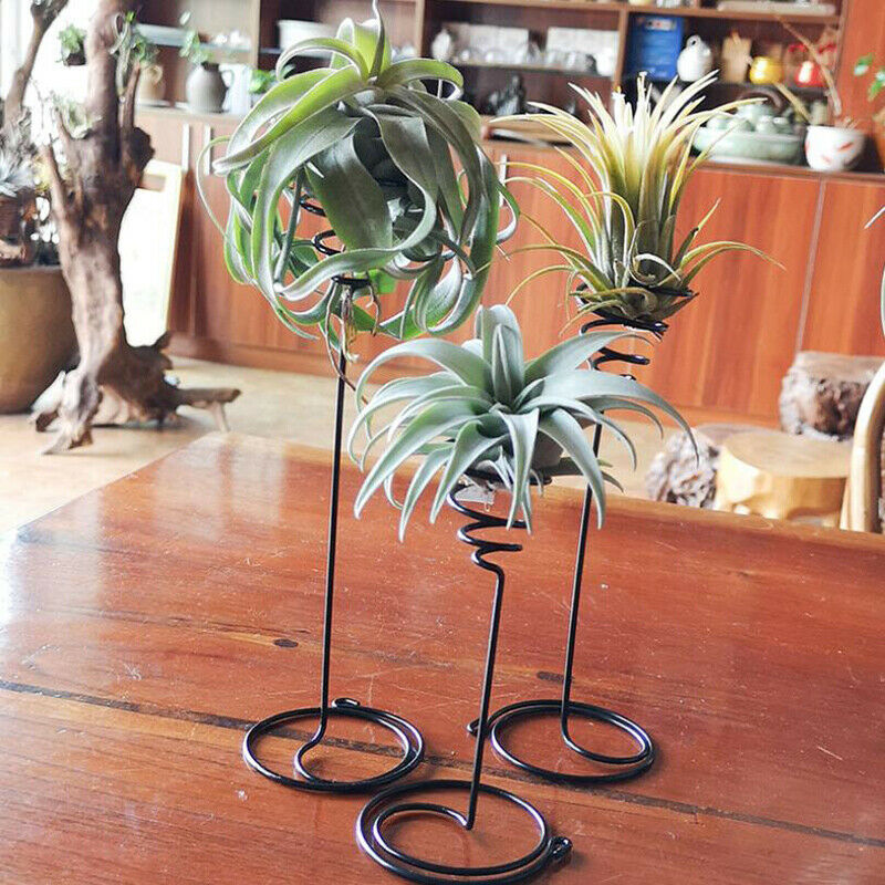 3Pcs Metal Air Pineapple Stand Base Plant Flower Rack Holder Home Balcony.l8