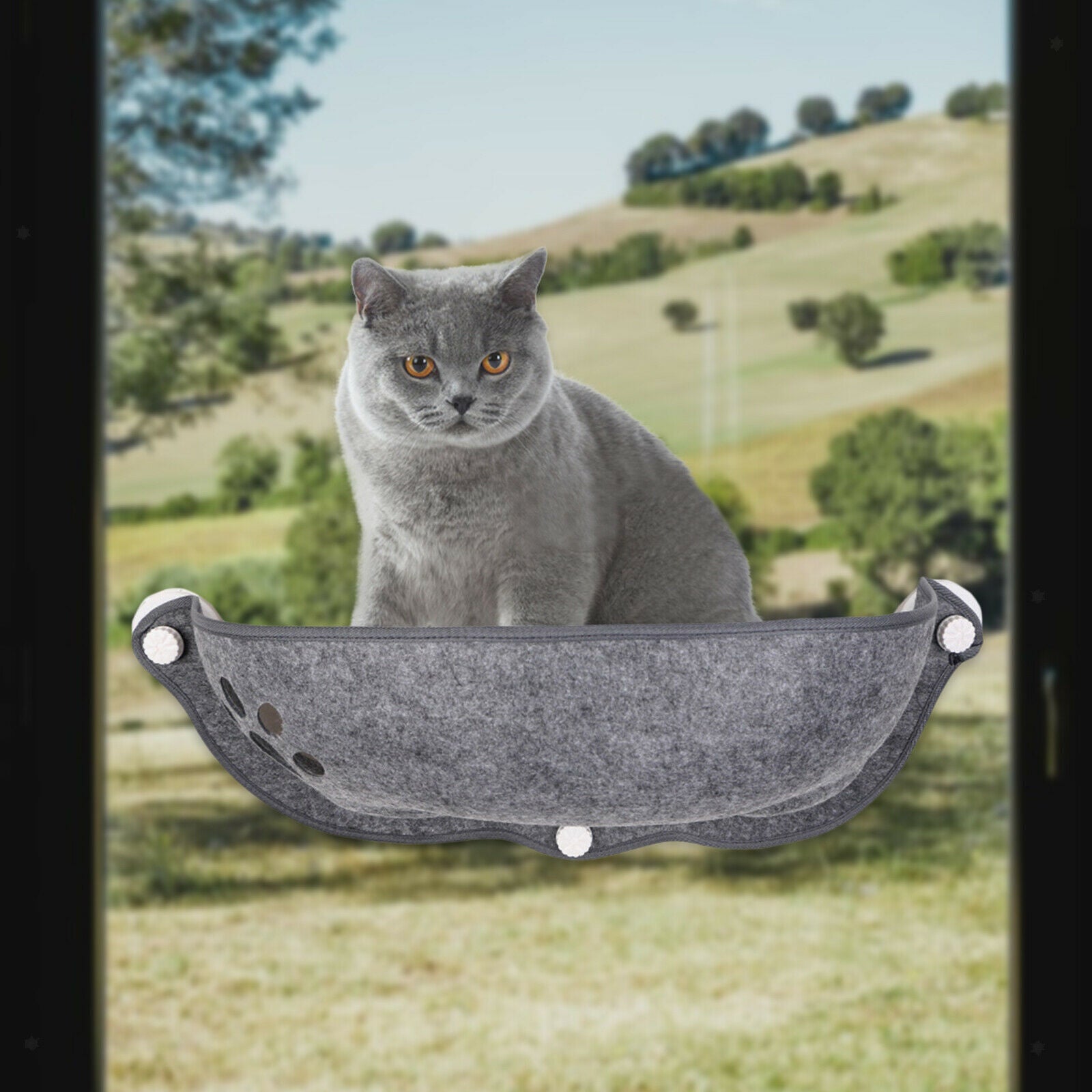 Soft Cat Hammock Cars Sunny Felt Bed Suction Cup Perch Washable Cushion Seat