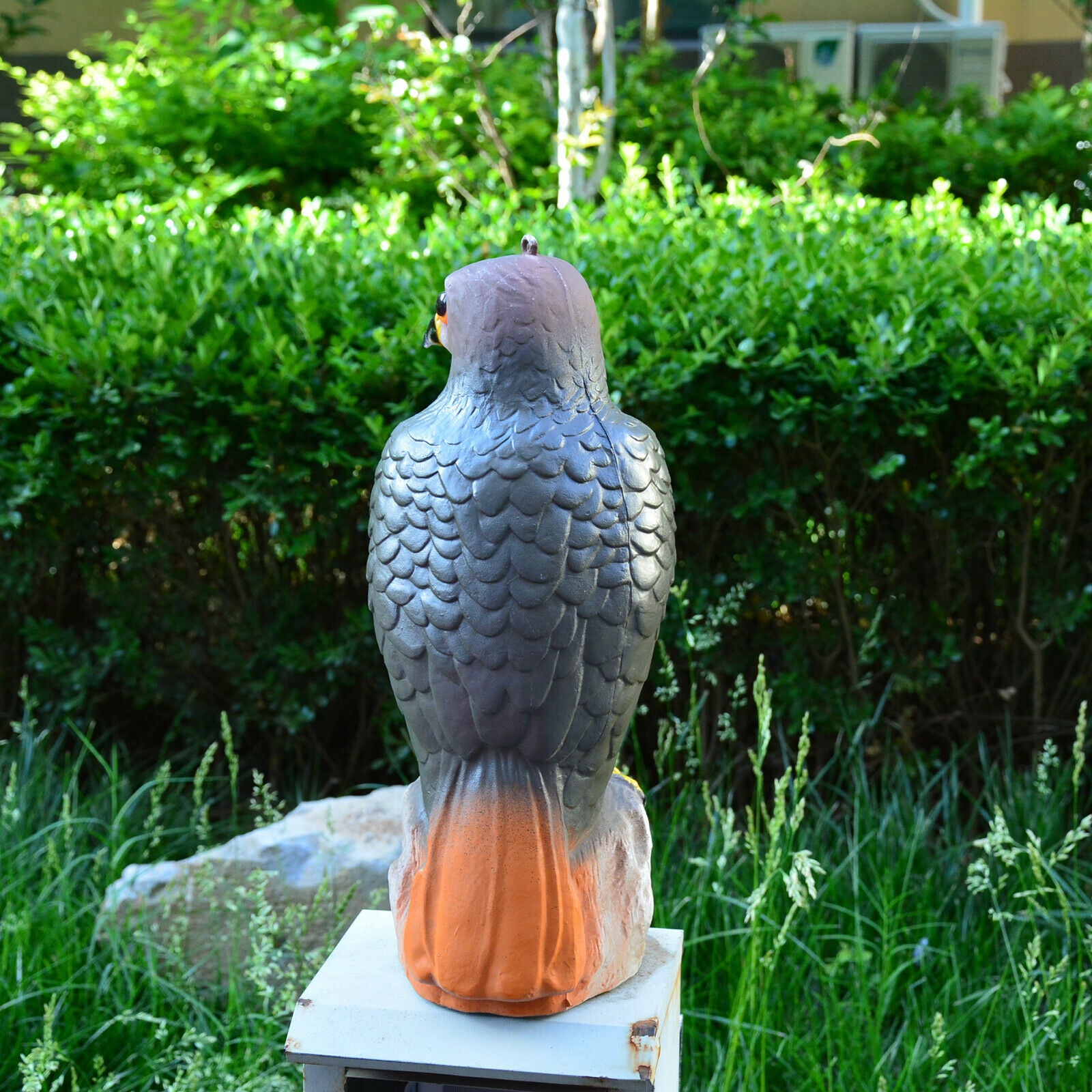 Hawk Hunting Bird Scare Repellent Decoy Statue Garden Ornamental Pest Help