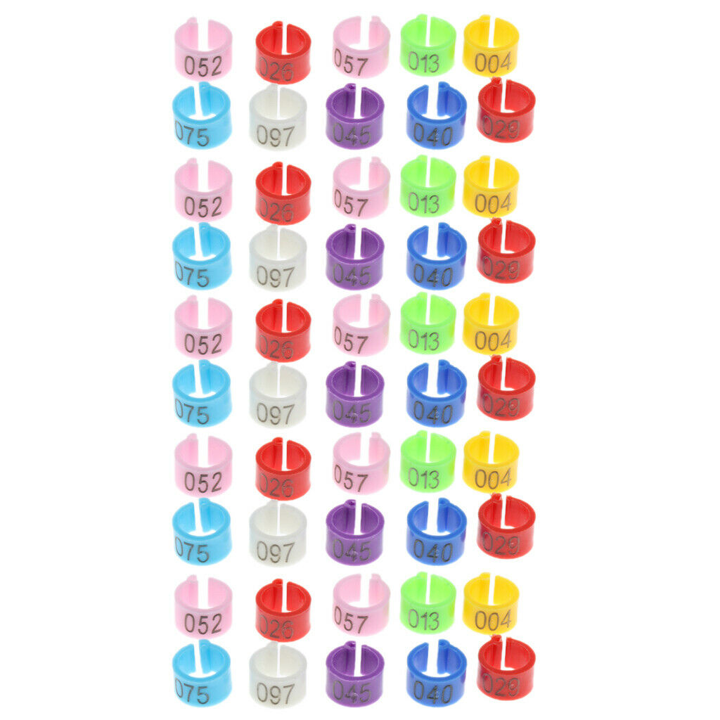 50x Bird Rings 7mm Leg Bands Pigeon Foot  Chicks Bantam Poultry Colourful AU