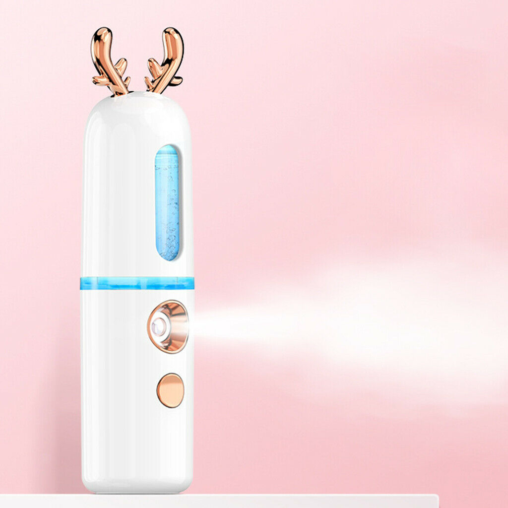 2 Packs USB Facial Nano Spray Hydrating Spraying Machine Moisturizing Tool