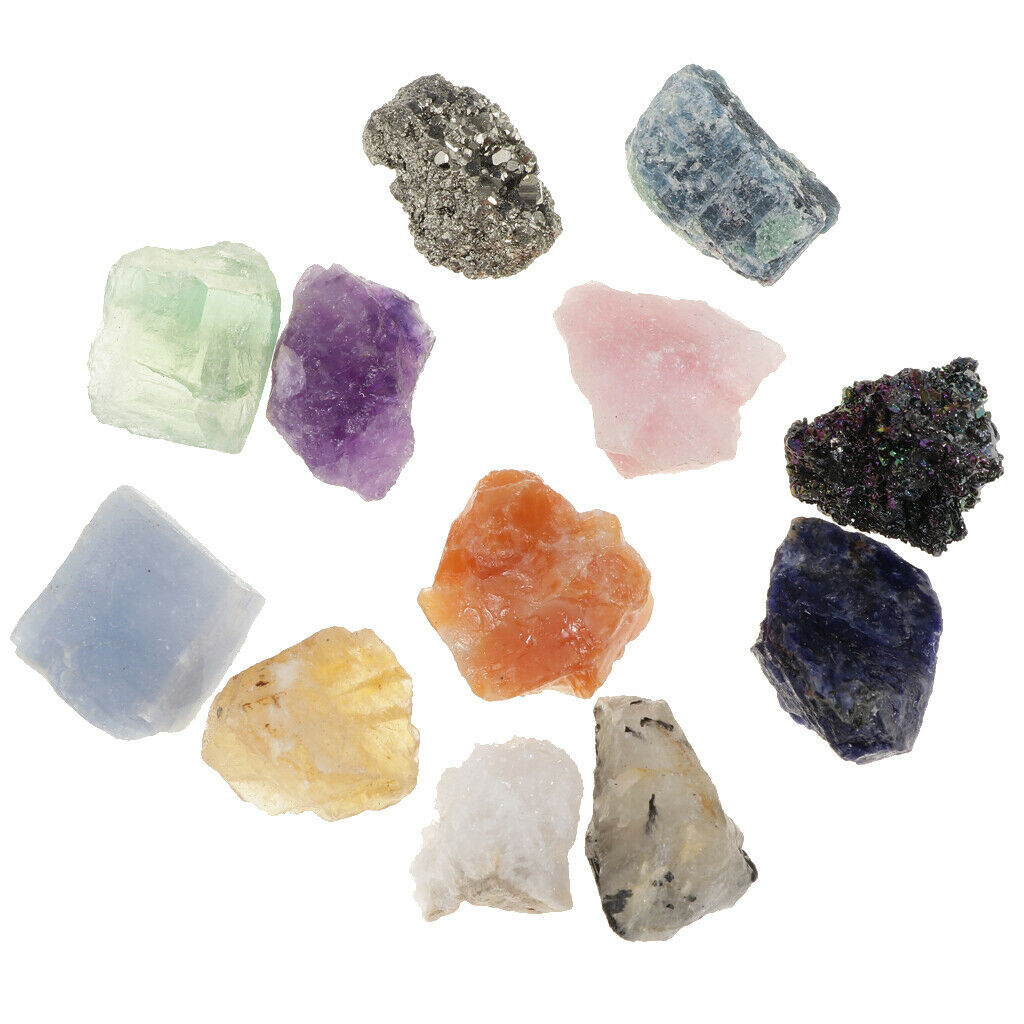 Rock and Mineral Earth Science School Teaching Display Collection Gift