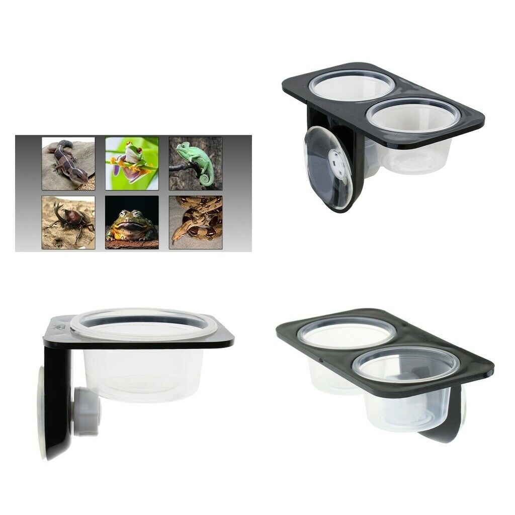 3 Pieces Dual Single Reptile Feeding Bowl with Suction Cup for Worm Spider