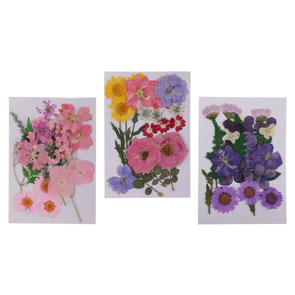3 bags Dried Flower Leaf for Embellishment Crafts DIY Card Making Decor Ornament
