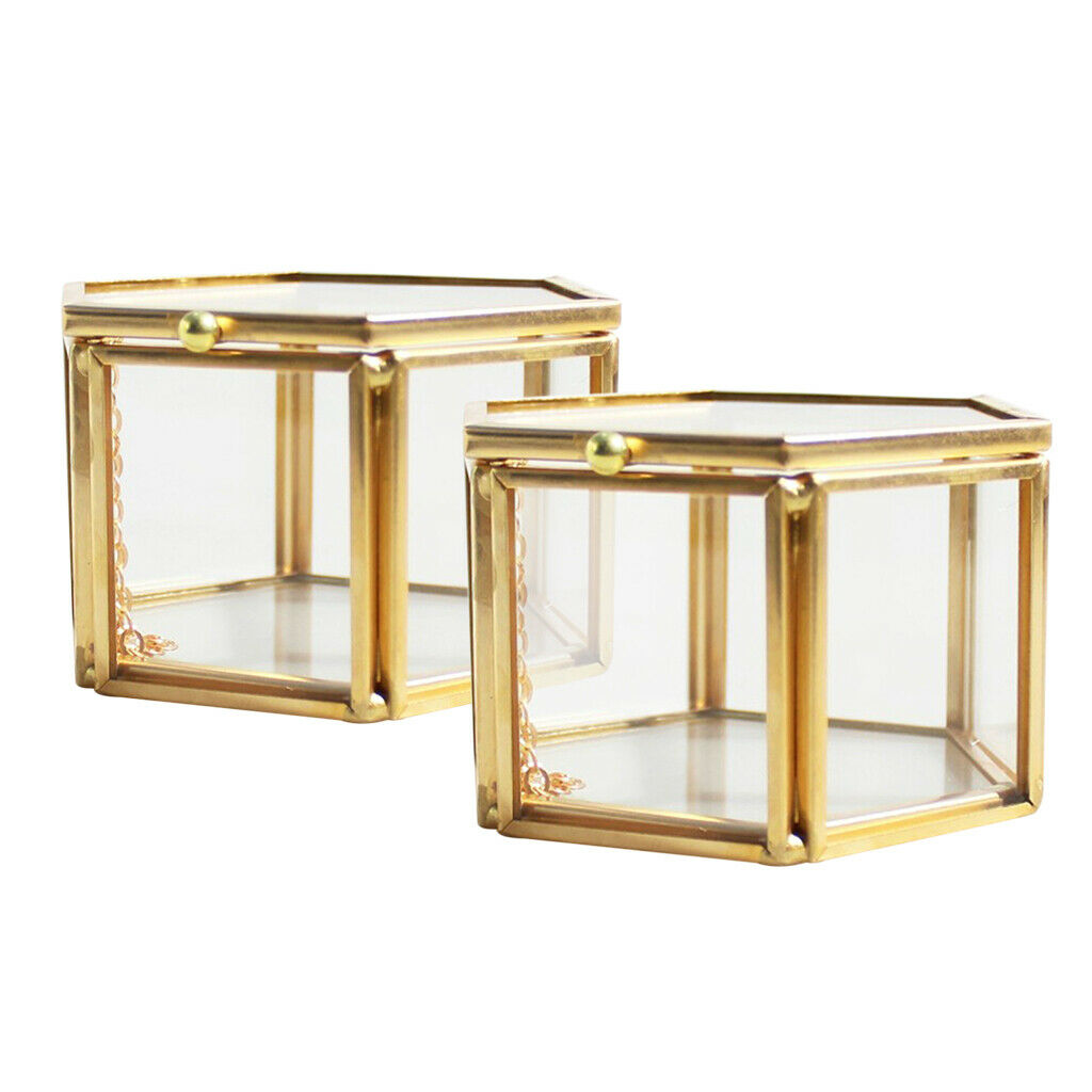 2 Pieces Modern Glass and Brass Cube Shaped Tabletop Succulent Plant Terrarium
