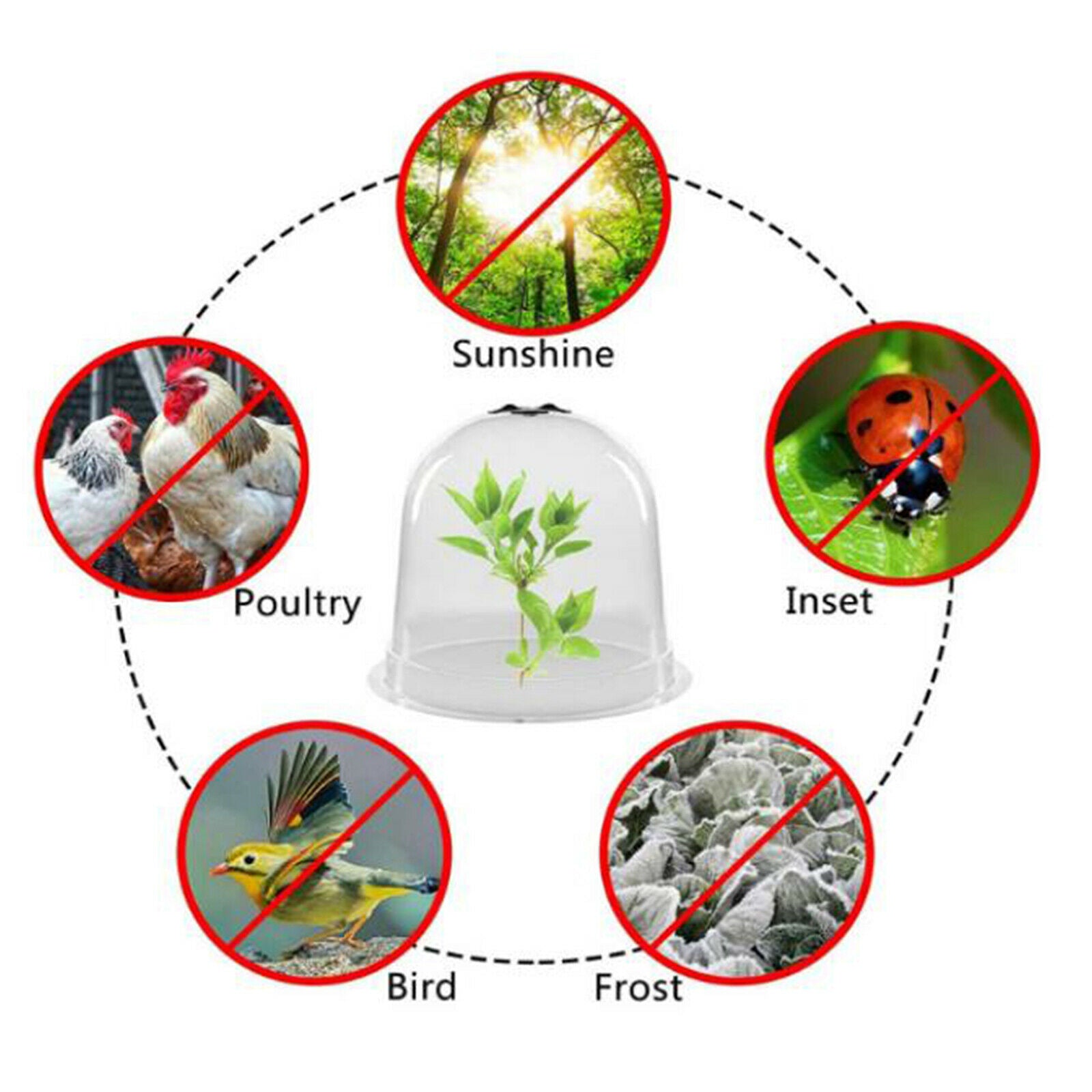 Protective plant nursery insulation cover dome Breathable covers