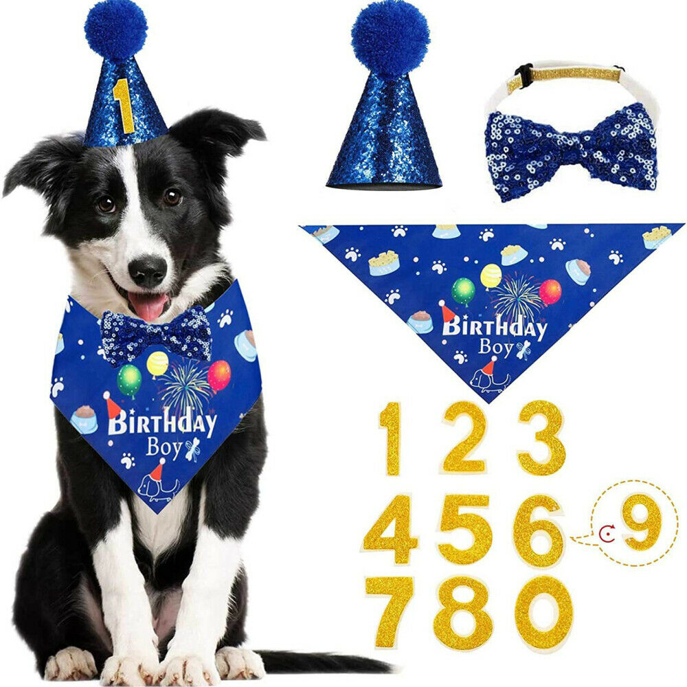 Dog Pet Birthday Party Supplies Bandana Hat Happy Birthday Banner Balloons Set
