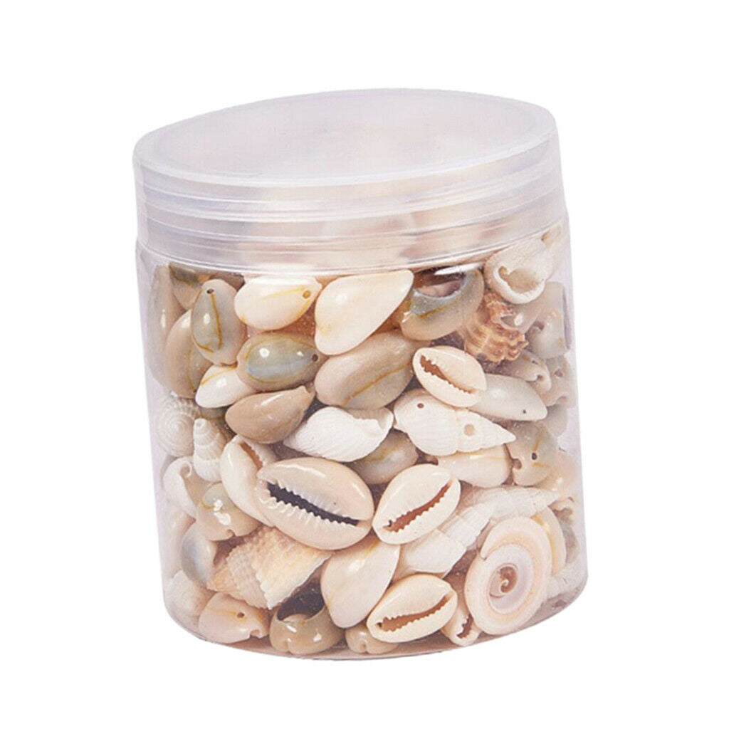 Mixed Beach Seashells Spiral Shells Conch Beads Vase Filler Jewelry Making