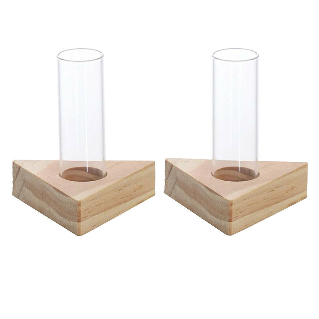 Test Tube Planter Flower Bud Vase Tabletop Glass Pot for Hydroponics Plants
