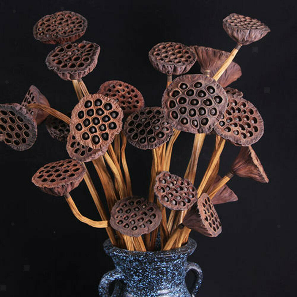 60x Vivid Natural Real Lotus Pod For DIY Art Crafts Xmas Floral Decors