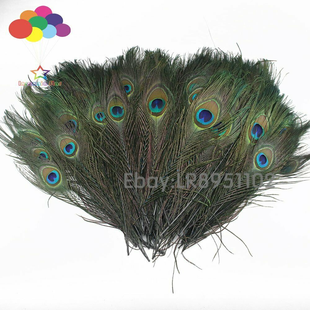 100pcs 25-30 cm Beautiful Black Peacock Tail Feathers Eyes Decorations Art Dress