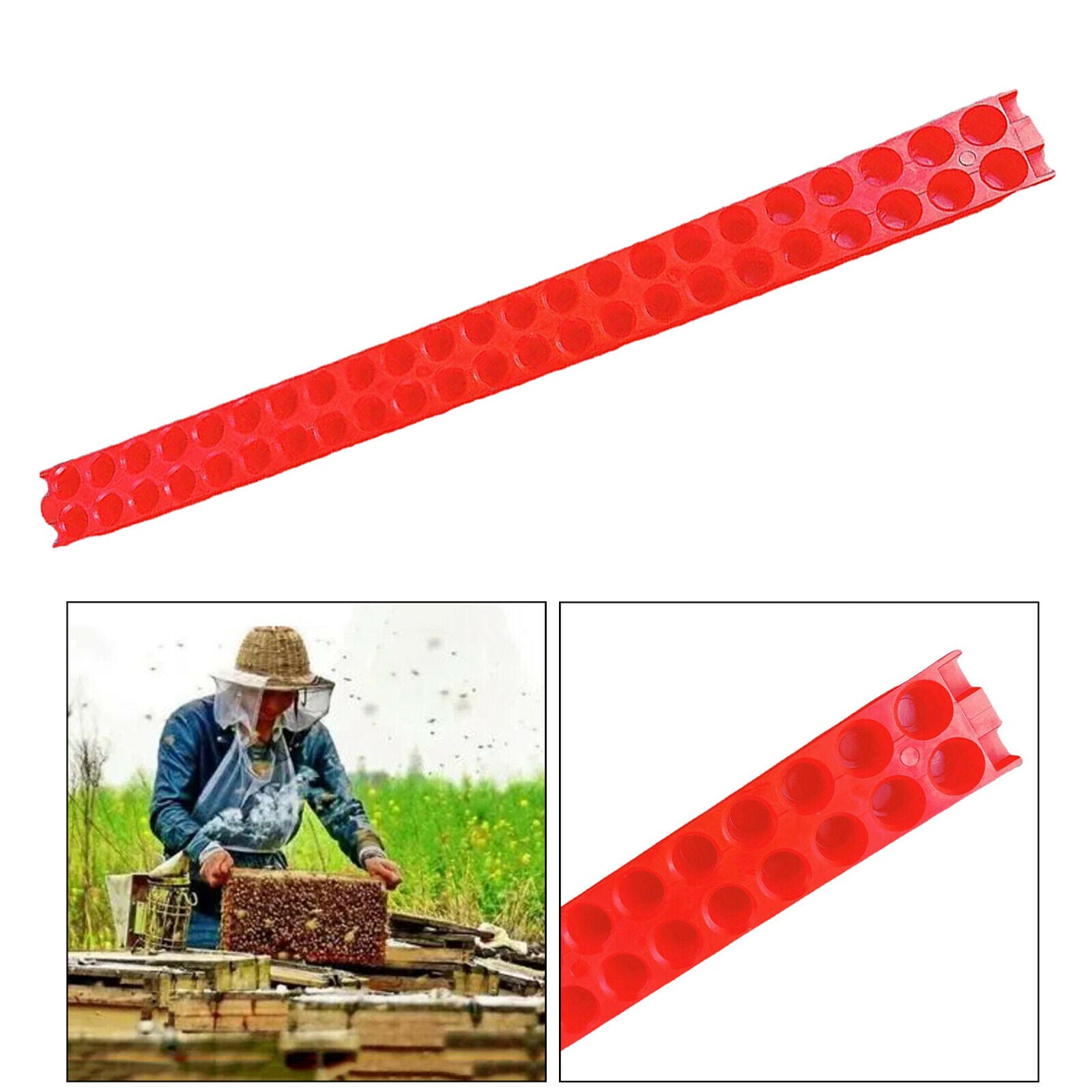 Plastic Queen Bee Transportation Strip for Isolator Cage Beekeeping Tools