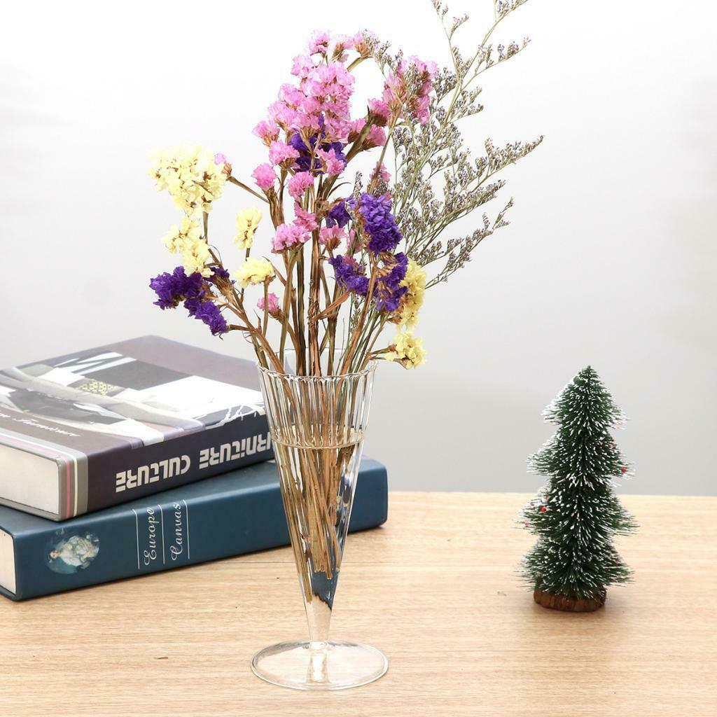 2pcs Test Tube Vase in Wooden Stand Desktop Glass Set Hydroponic Plants