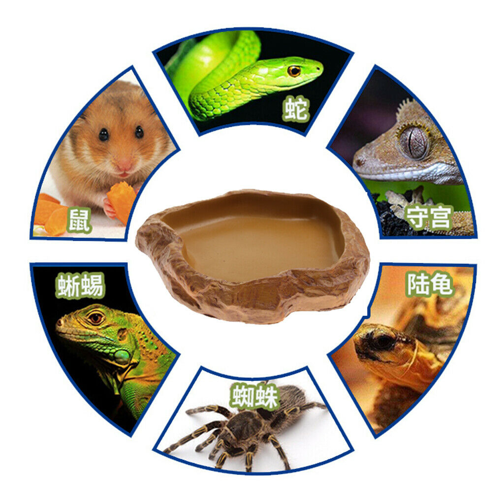 Reptile Water Drinker Dispenser Food Bowl Lizard Feeder Dish