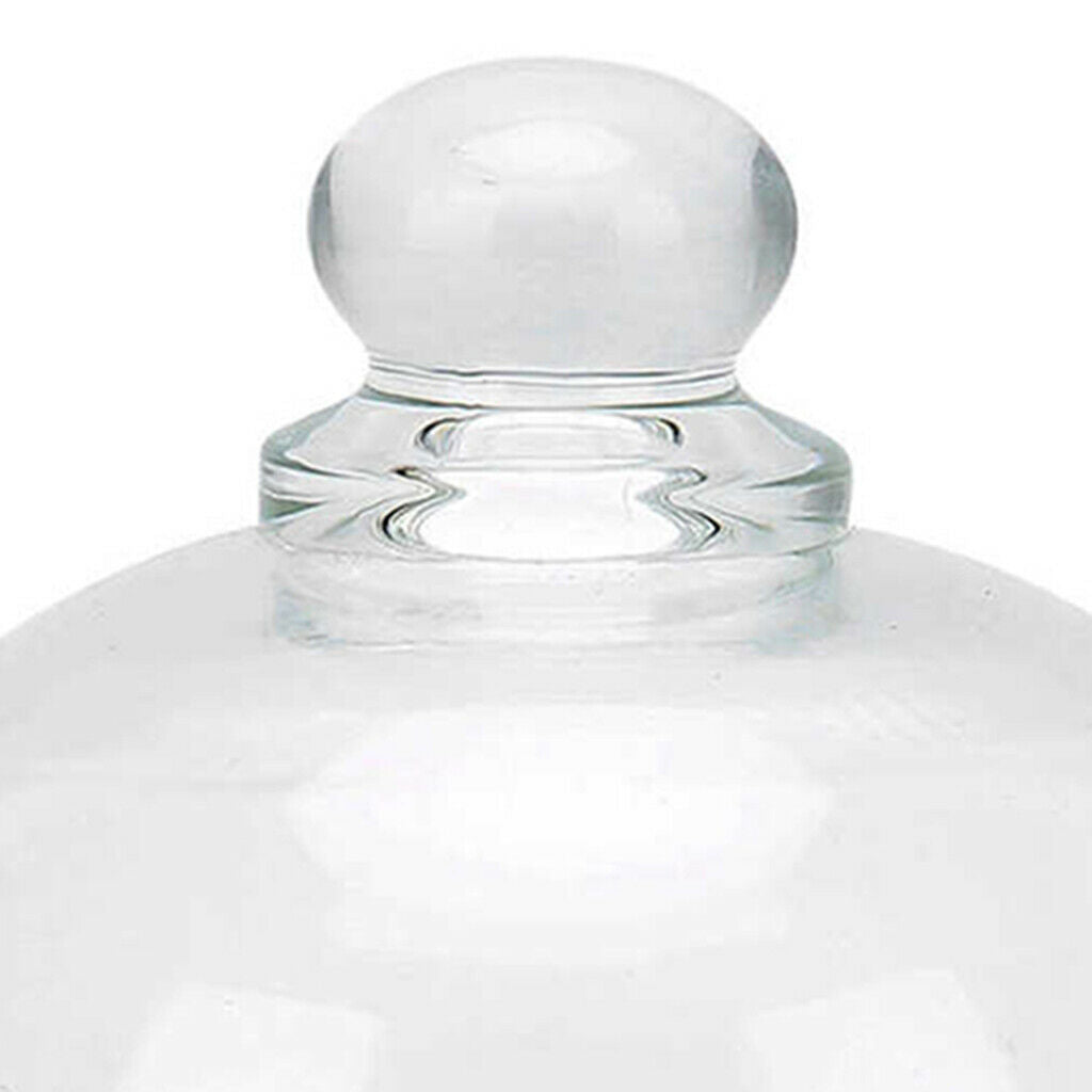 Glass Watch Repair Movement Cover Anti-dust Jewlery Storage Case Storage Box