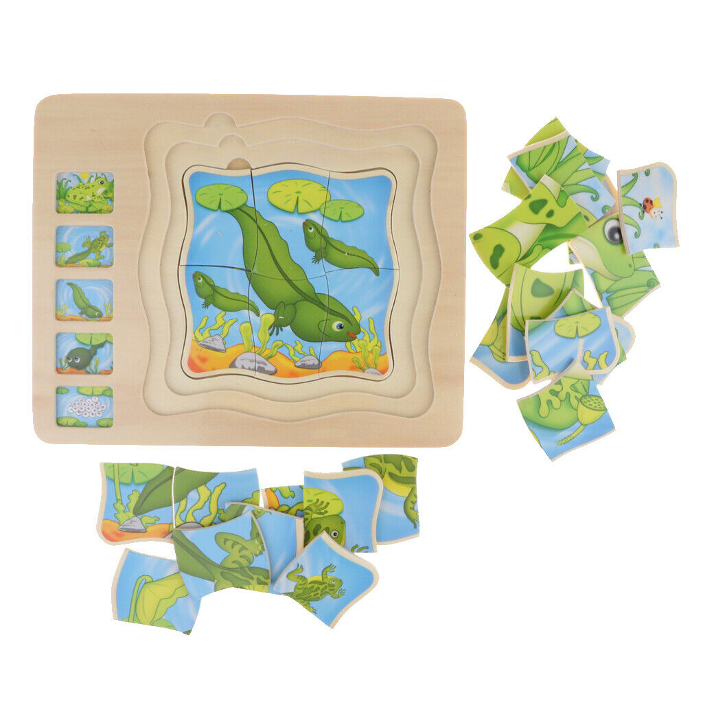 Frog Layer Puzzle, Wooden Stacking Puzzle, Children's Intelligence