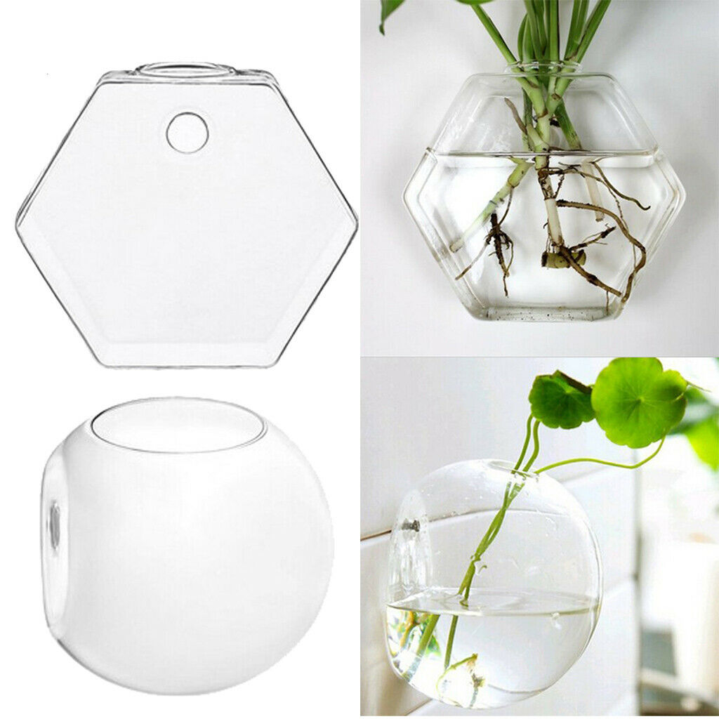 2 Pieces Wall Hanging Glass Hydroponic Flowers Planter Vase Terrarium Container