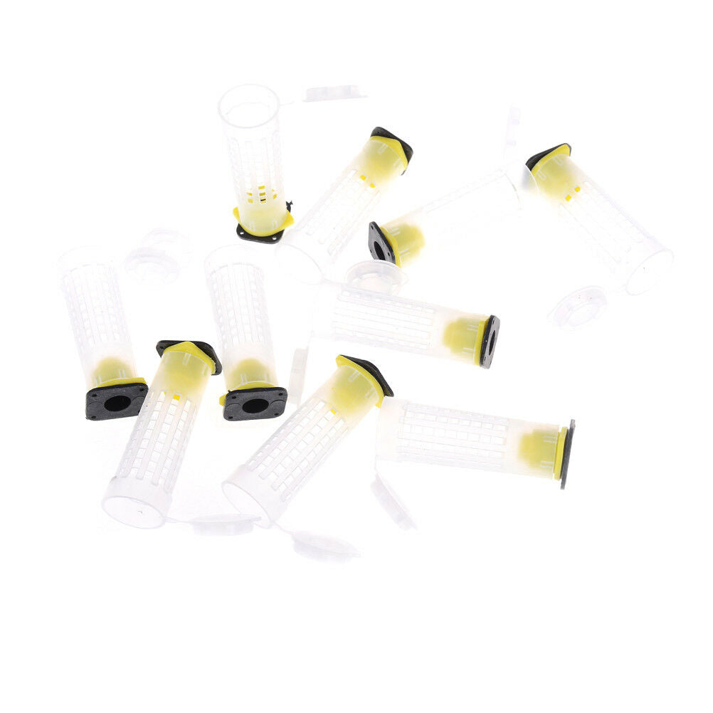 10PCS  Beekeeper Equipment Tool Beekeeping Rearing Cup Kit Queen Bee Cages!eJCDD