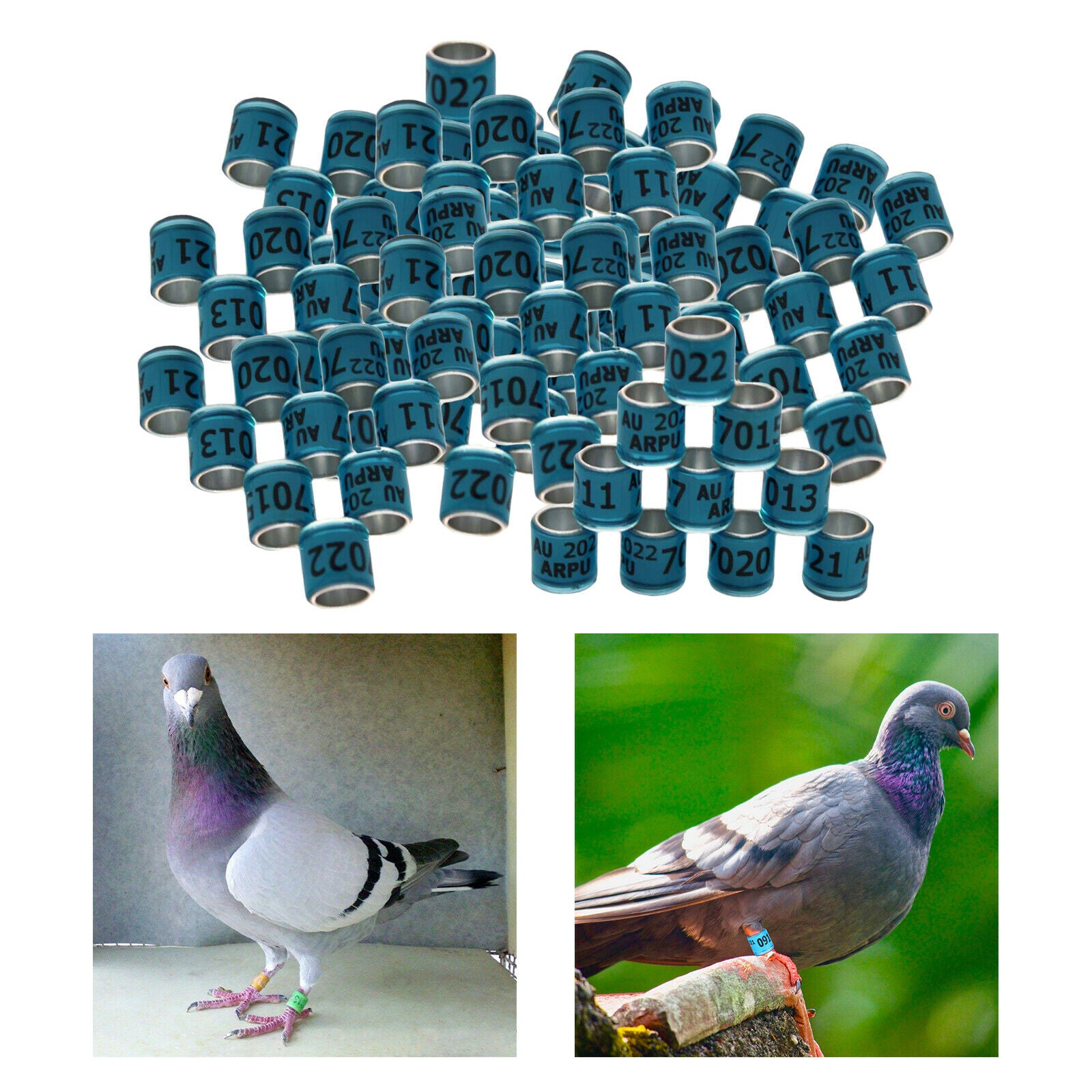 100Pcs 2022 Aluminium Dove Racing Pigeon Foot Rings Bands 8mm Blue