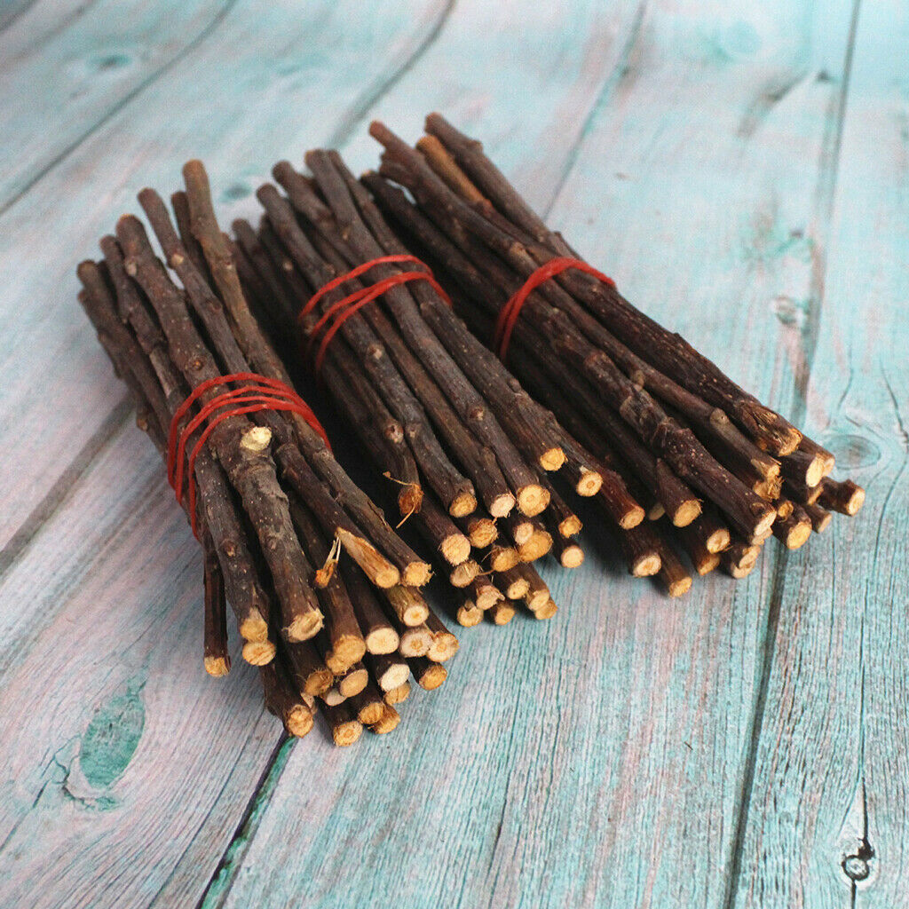 Wood Chew Sticks for Hamster Rabbits Chinchillas Squirrels Rodent Animals