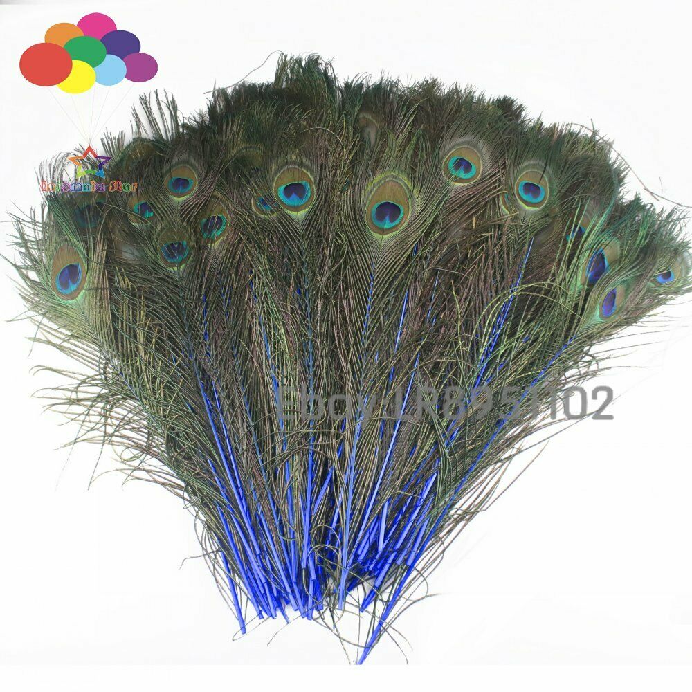 100 pcs 40-45 CM peacock feather sapphire plumage performing plume decoration