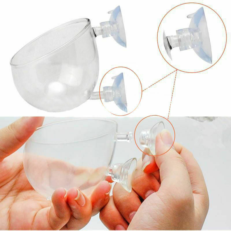8Pcs Aquatic Plant Crystal Glass Cup Pot for Aquarium Fish Tank Plant Holder