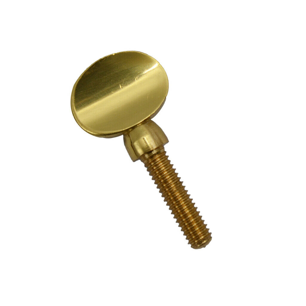 Saxophone Cleaning Care Kit Sax Brass Neck Receiver Screw for Saxophone Lovers