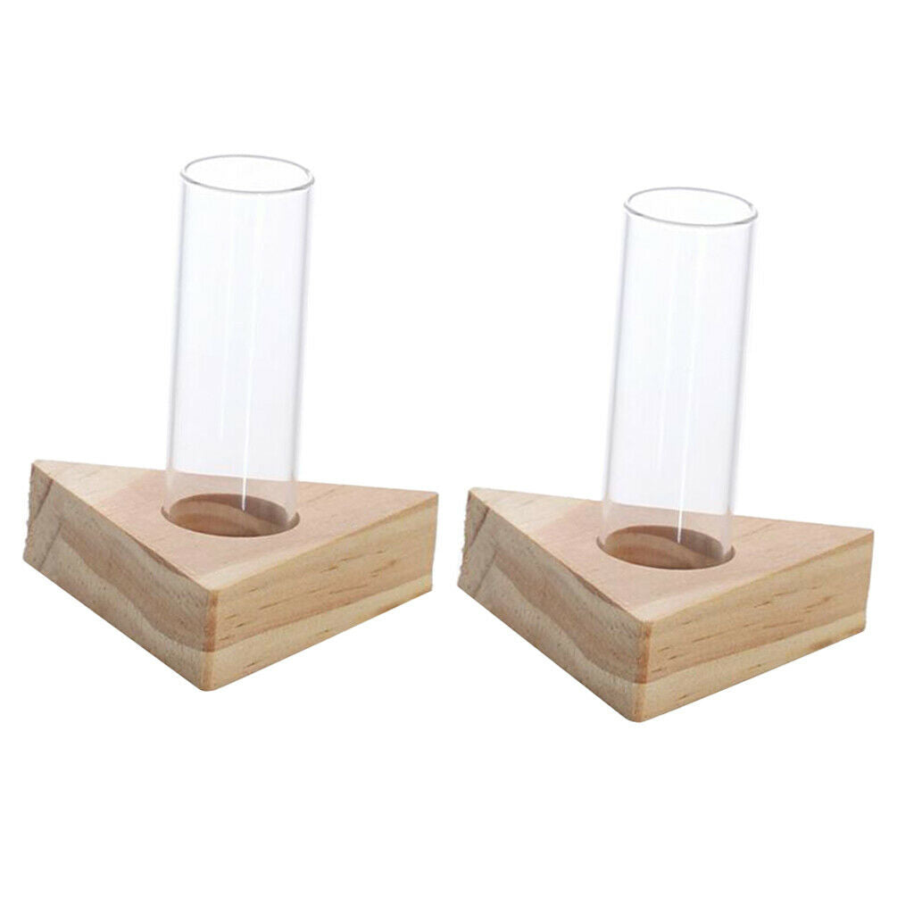 Test Tube Planter Flower Bud Vase Tabletop Glass Pot for Hydroponics Plants