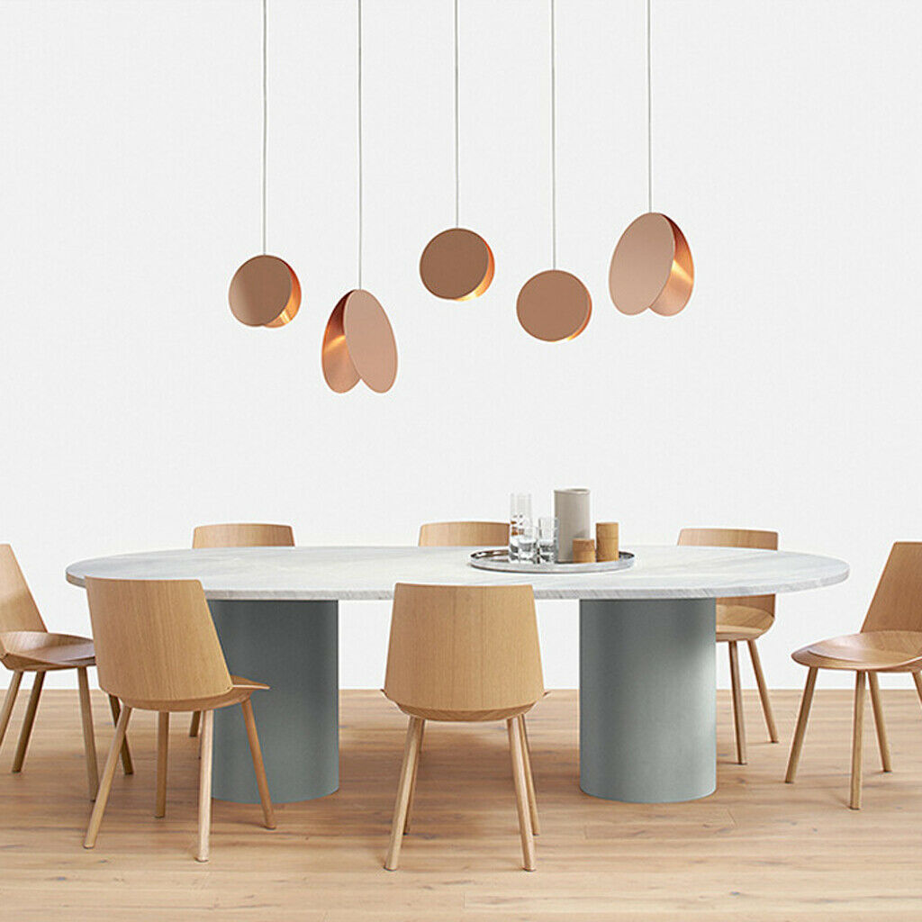 Iron Round Modern Shade Chandelier Ceiling Hanging Lamp LivingRoom E14 White
