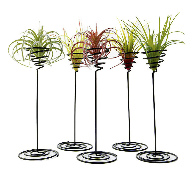 Metal Art Air Pineapple Base Plant Flower Pot Rack Decor Landscape Access.l8