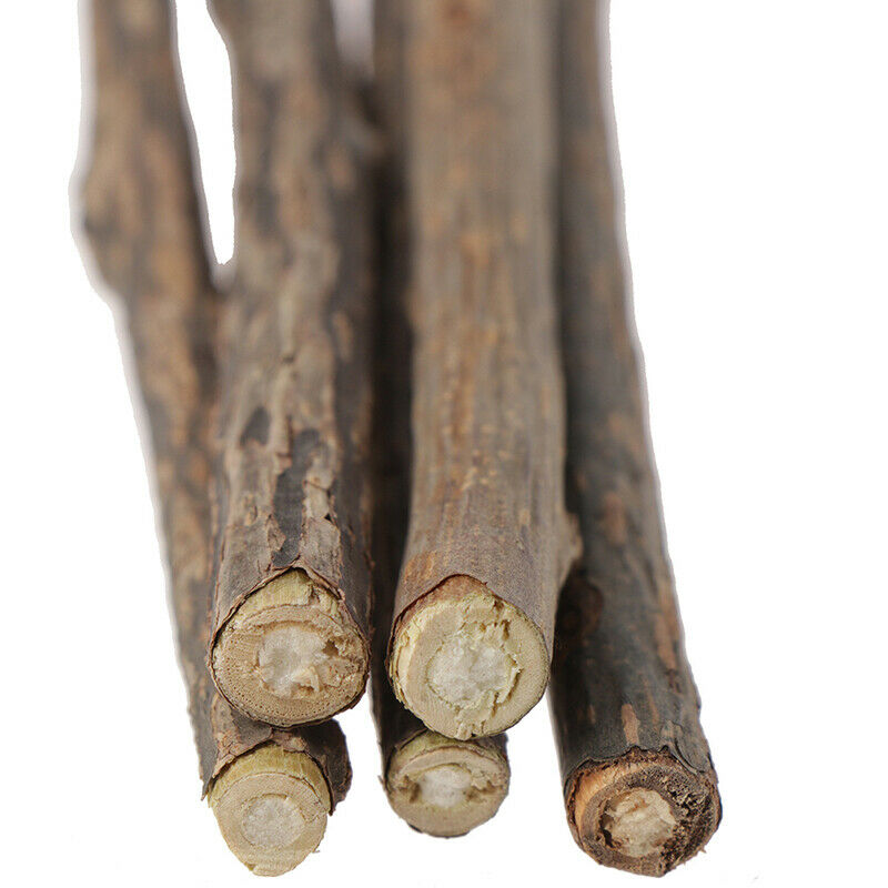 5x Cat Cleaning Teeth Pure Natural Catnip Stick Pet Molar Toothpaste Snac.l8