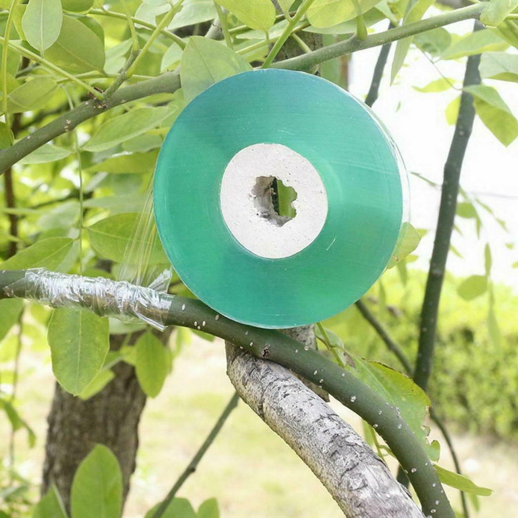 Green 100m Stretchable Clear Grafting Tape for Fruit Tree Soil Accessories